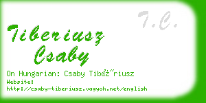 tiberiusz csaby business card